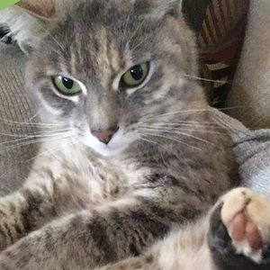 Meet your Posher, Ava